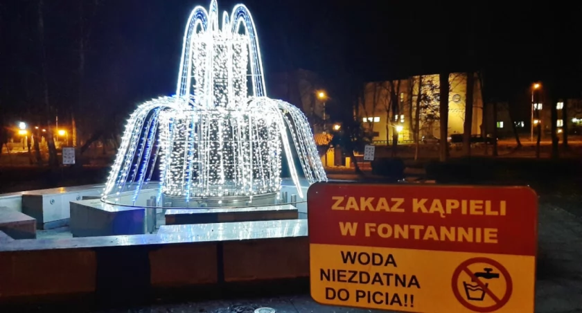 Świątecznie ustrojona fontanna w mogileńskim parku, zdjęcie sprzed kilku lat   fot. Marek Holak