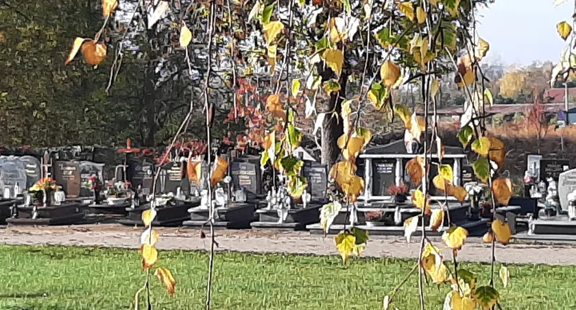 fot. Mirosława Roszak