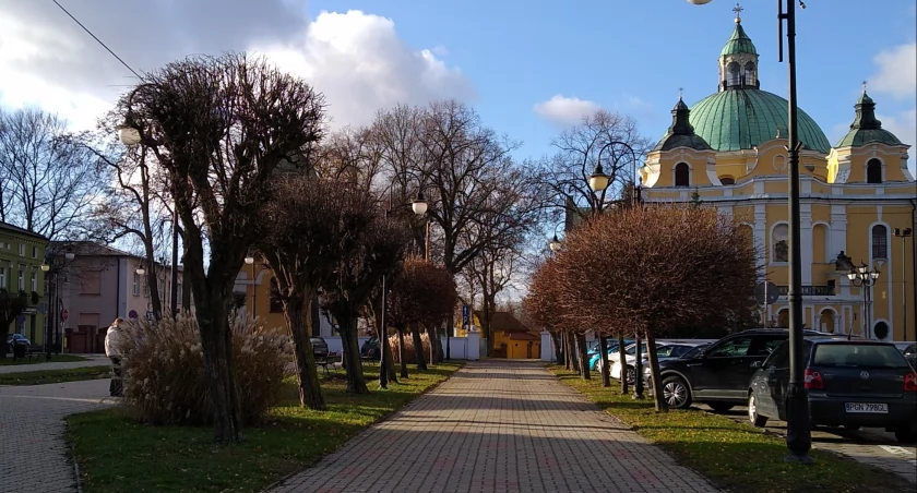 Uporządkowana w ramach projektu zieleń na Placu Kosmowskiego w Trzemesznie fot. Renata Pałucka