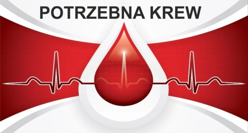 Krew dla Radka można będzie oddać w Mogilnie, Gniewkowie, Kruszwicy oraz Inowrocławiu