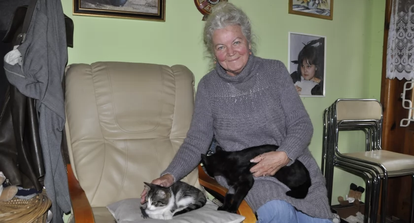 Irena Wojciechowska z Mogilna od ponad 30 lat pomaga wolnożyjącym kotom w Przyjezierzu fot. Magdalena Lachowicz
