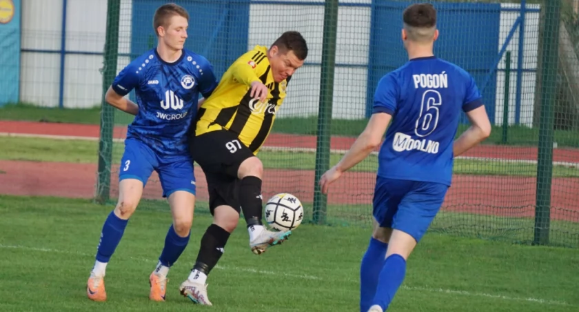 Pojedynek zawodnika Sparty z pogonistami   fot. Marek Holak