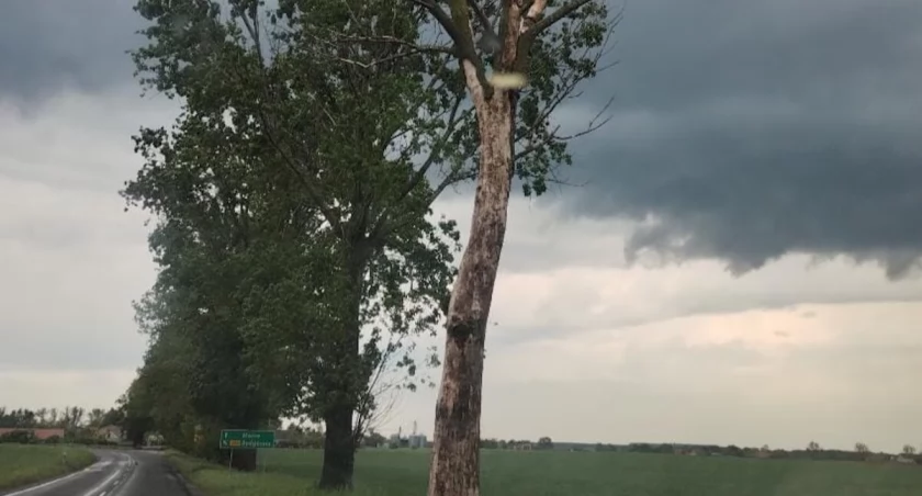 fot. nadesłane przez mieszkańca Mokrego