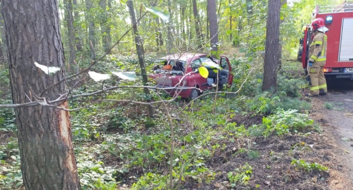 Samochód najpierw uderzył w drzewo, a później zatrzymał się w leśnych zaroślach fot. JRG Mogilno