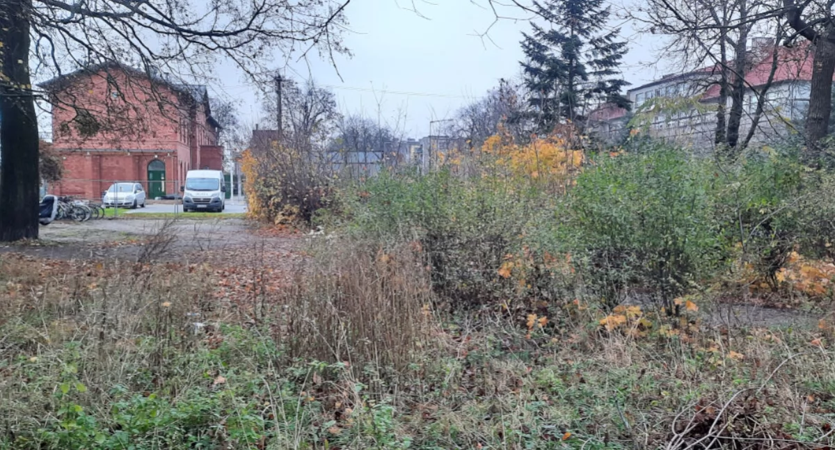 W tej części przydworcowych terenów kolejowych panuje bałagan, walają się śmieci, wszystko jest zarośnięte   fot. Marek Holak