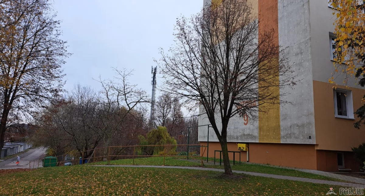 Jak widać, bloki Spółdzielni Mieszkaniowej są dość blisko położone miejsca, gdzie ma być psi park (krzaki i drzewa w głębi) fot. Paweł Lachowicz