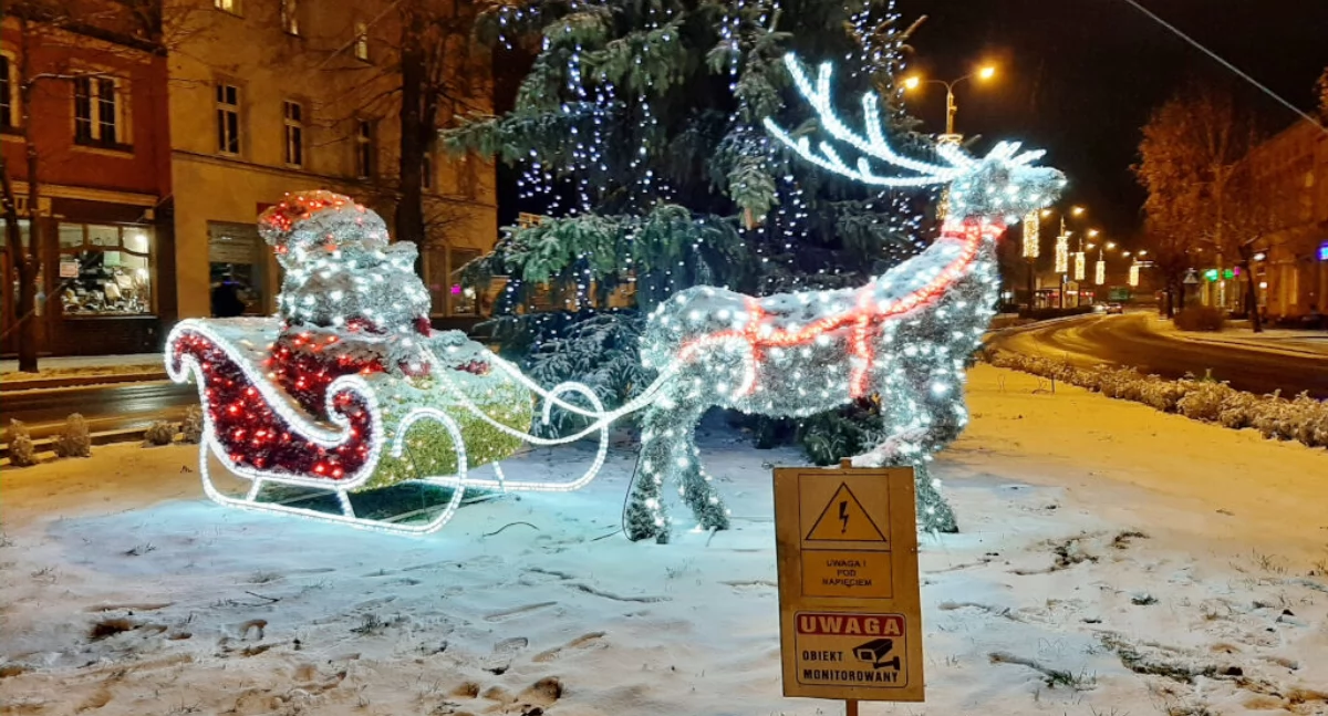 Życie miast i wsi, renifer saniami zostanie przeniesiony dawnym sklepie Centrum - zdjęcie, fotografia