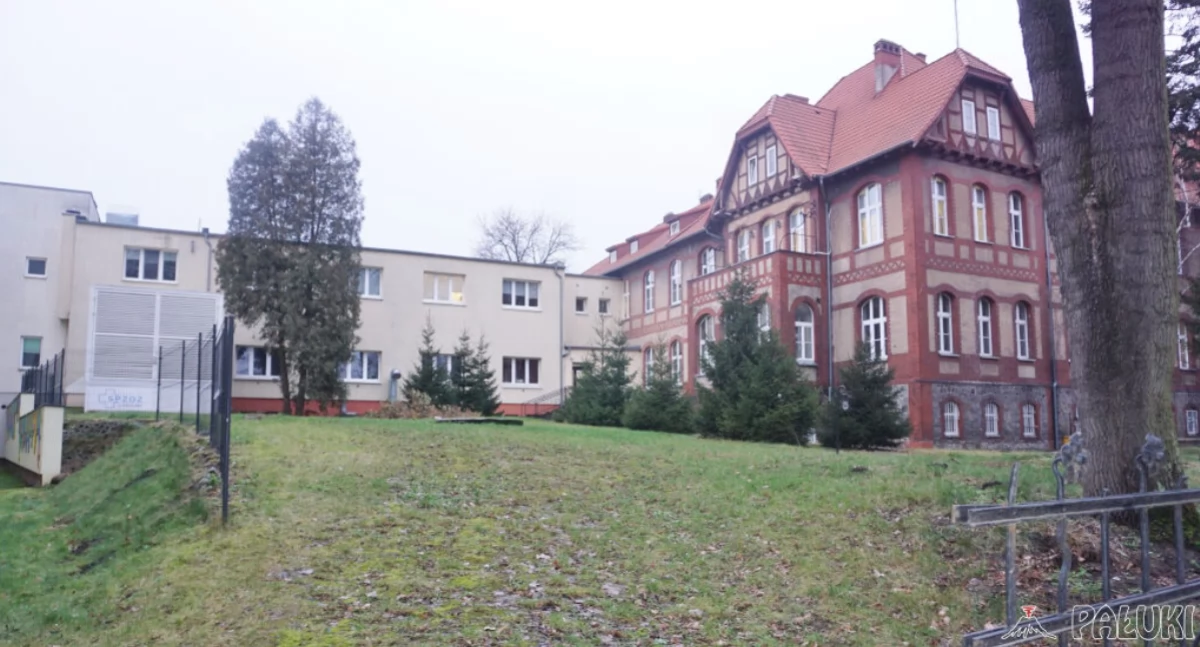 Przyszły budynek modułowy fizjoterapii miałby być ulokowany przy szpitalu, na skarpie od strony ul. Kościuszki przy tomografie komputerowym   fot. Marek Holak