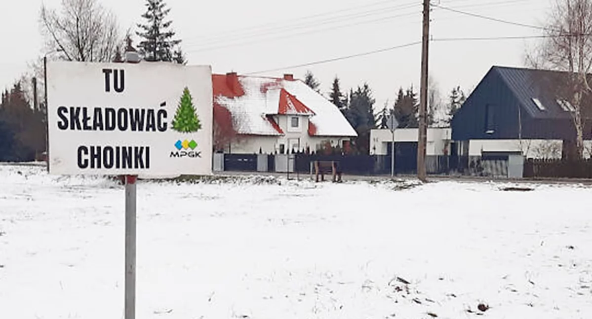 Jeden z punktów składowania choinek będzie znajdował się przy ul. Kausa   fot. Marek Holak