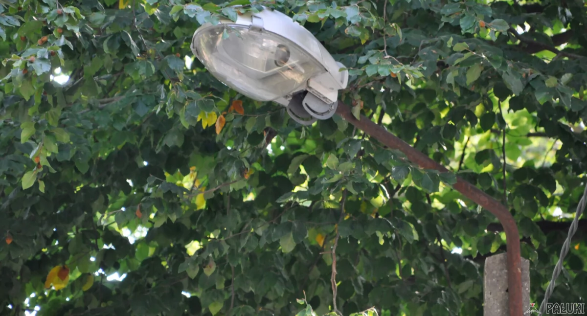Na nowoczesne, energooszczędne lampy LED wymienione zostaną 574 istniejące na terenie gminy oprawy oświetleniowe sodowe i rtęciowe fot. Paweł Lachowicz