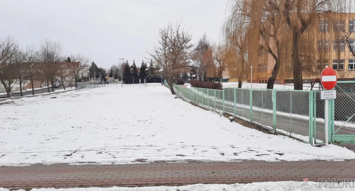 Parking zostanie zlokalizowany na tym terenie, między ul. Trzcińskiego a szkolnym budynkiem Jedynki   fot. Marek Holak