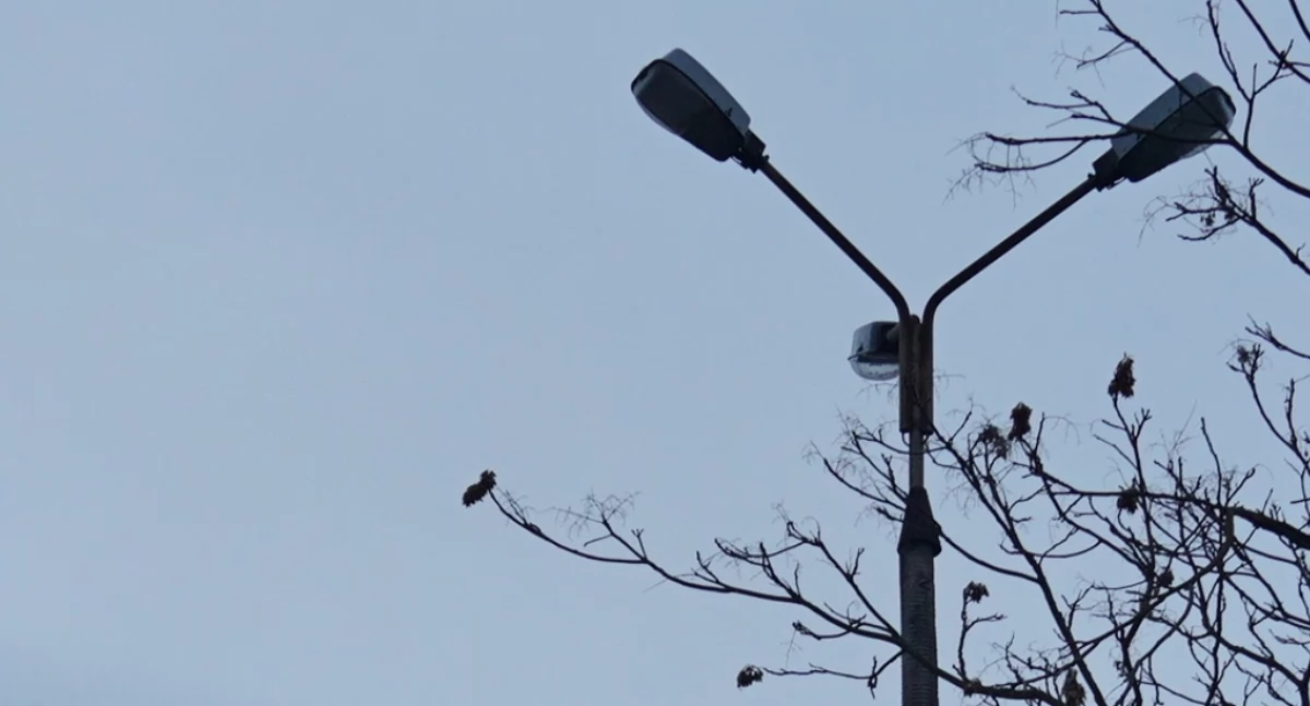 Inwestycje, instytucje, praca • , gminie Mogilno wymienionych zostanie opraw oświetleniowych sodowych ledowe - zdjęcie, fotografia