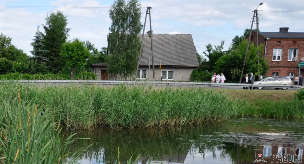 Staw w Markowicach   fot. Magdalena Lachowicz