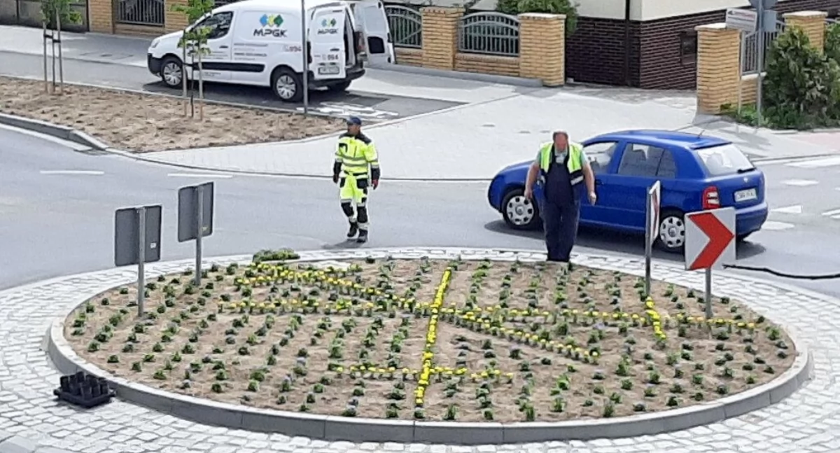 Tak wyglądało ukwiecanie ronda na ulicy Hallera w 2020 roku   fot. archiwum Pałuk