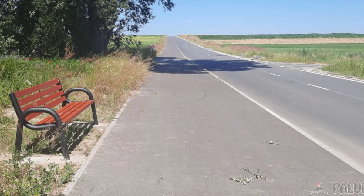 Ławka zamontowana przez gminę przy drodze gminnej Padniewko-Wyrobki-Mogilno (ul. Wybudowanie)   fot. Marek Holak