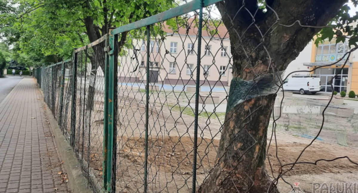 Wśród planowanych remontów w okresie wakacyjnym jest także wykonanie nowego ogrodzenia SP 3 w Mogilnie   fot. Marek Holak