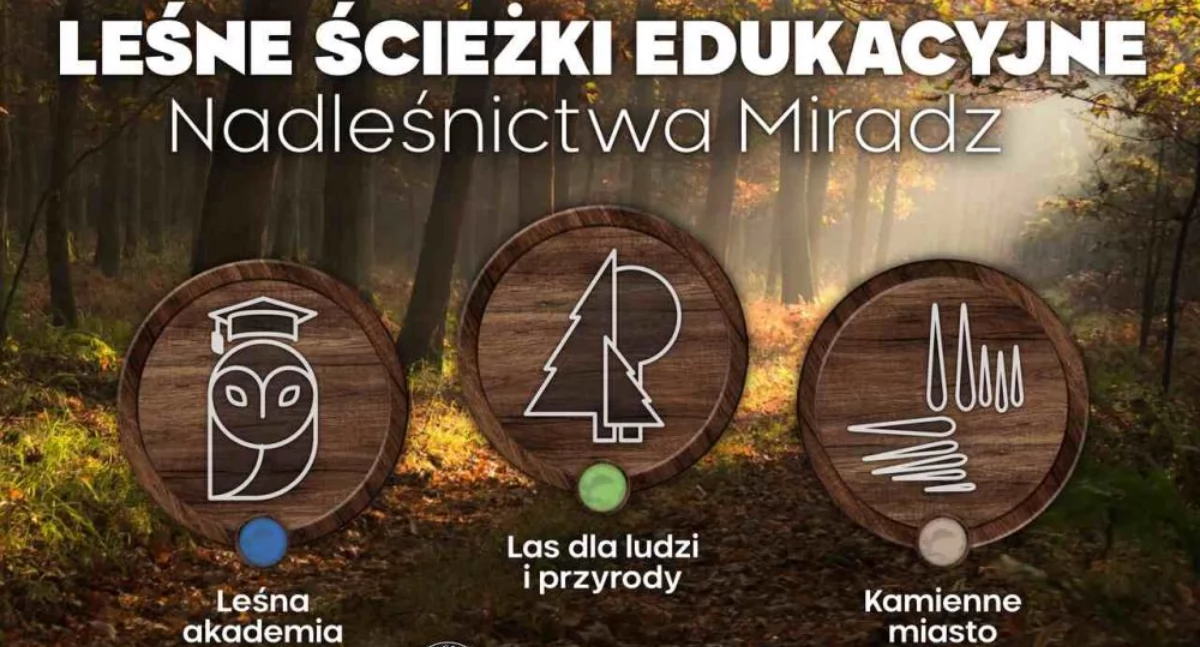 Okładka wydanego folderu