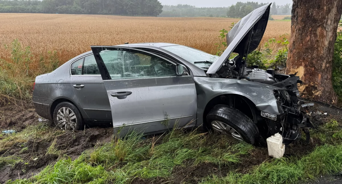 Osobowy VW wypadł z drogi i uderzył czołowo w przydrożne drzewo fot. JRG Mogilno