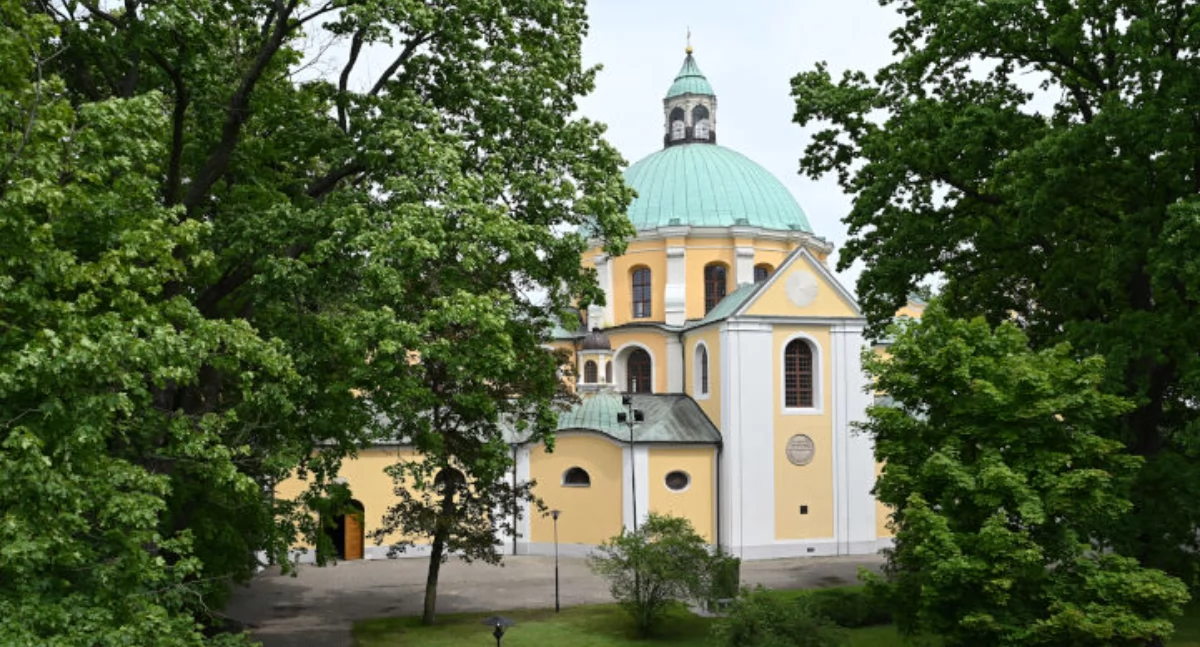 Przedmiotem tegorocznych prac jest pielęgnacja  drzew na wybranych ulicach, placach i alejach Trzemeszna, w tym przycinanie suchych i złamanych gałęzi, formowanie koron, usuwanie odrostów fot. Magdalena Lachowicz