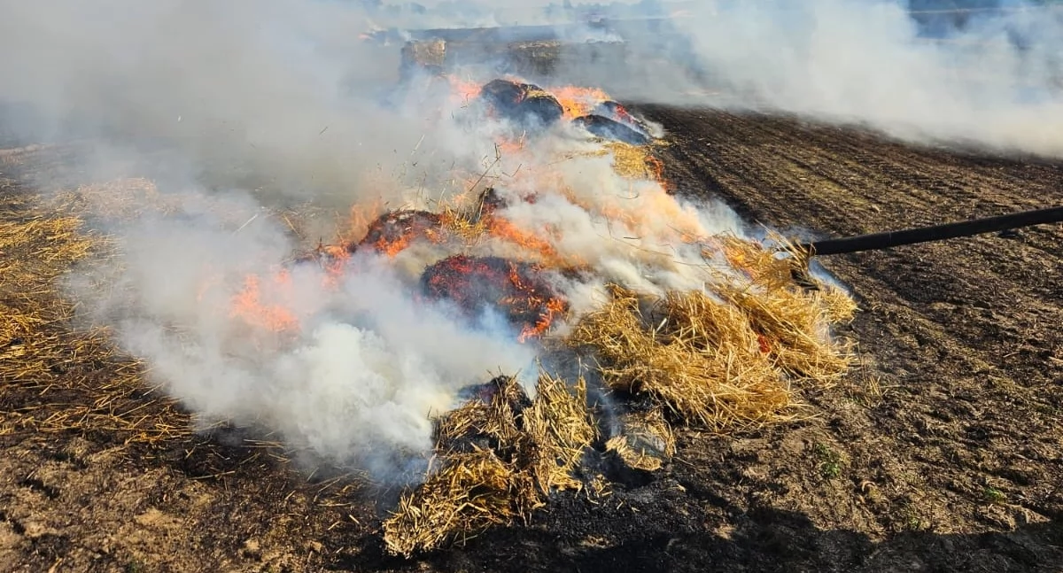 Na polu w Kamionku paliło się zboże na pniu, rżysko oraz baloty słomy fot. JRG Mogilno
