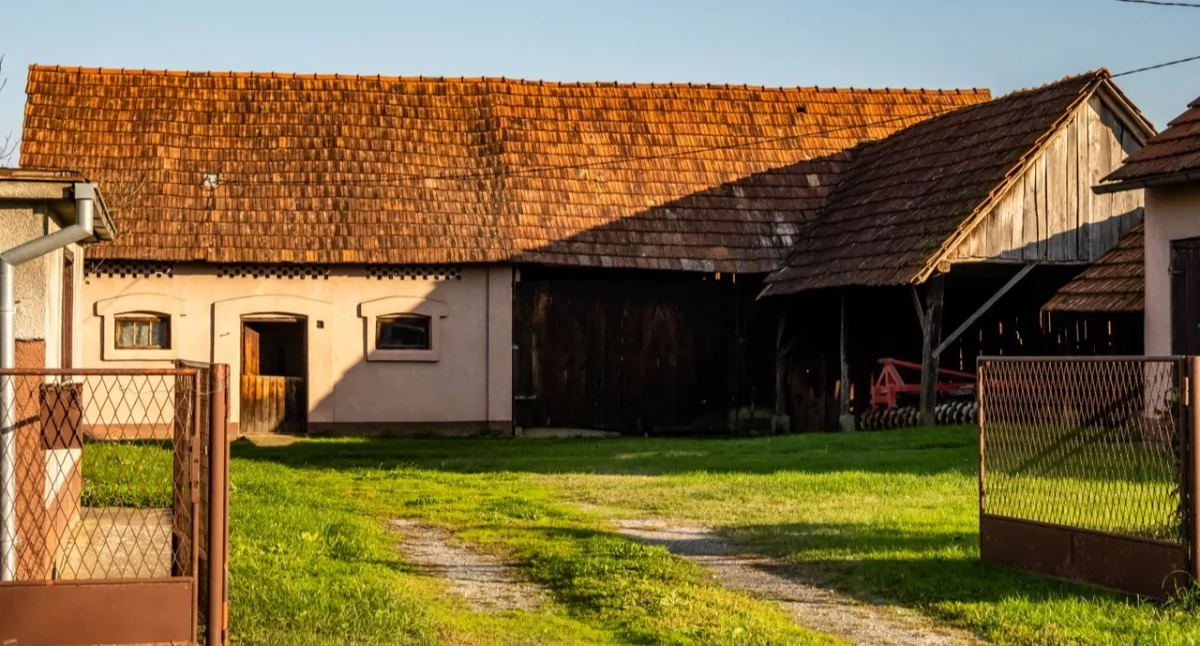 Artykuł promocyjny partnera portalu, Biomasa strategii ograniczania śladu węglowego gospodarstw domowych - zdjęcie, fotografia