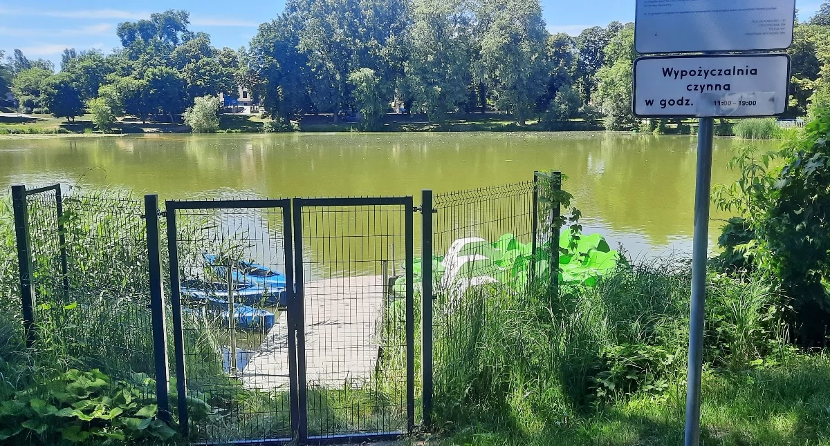 W sobotę 27 czerwca od 11.00 rusza nad jeziorem w Mogilnie wypożyczalnia kajaków i rowerów wodnych   fot. Marek Holak