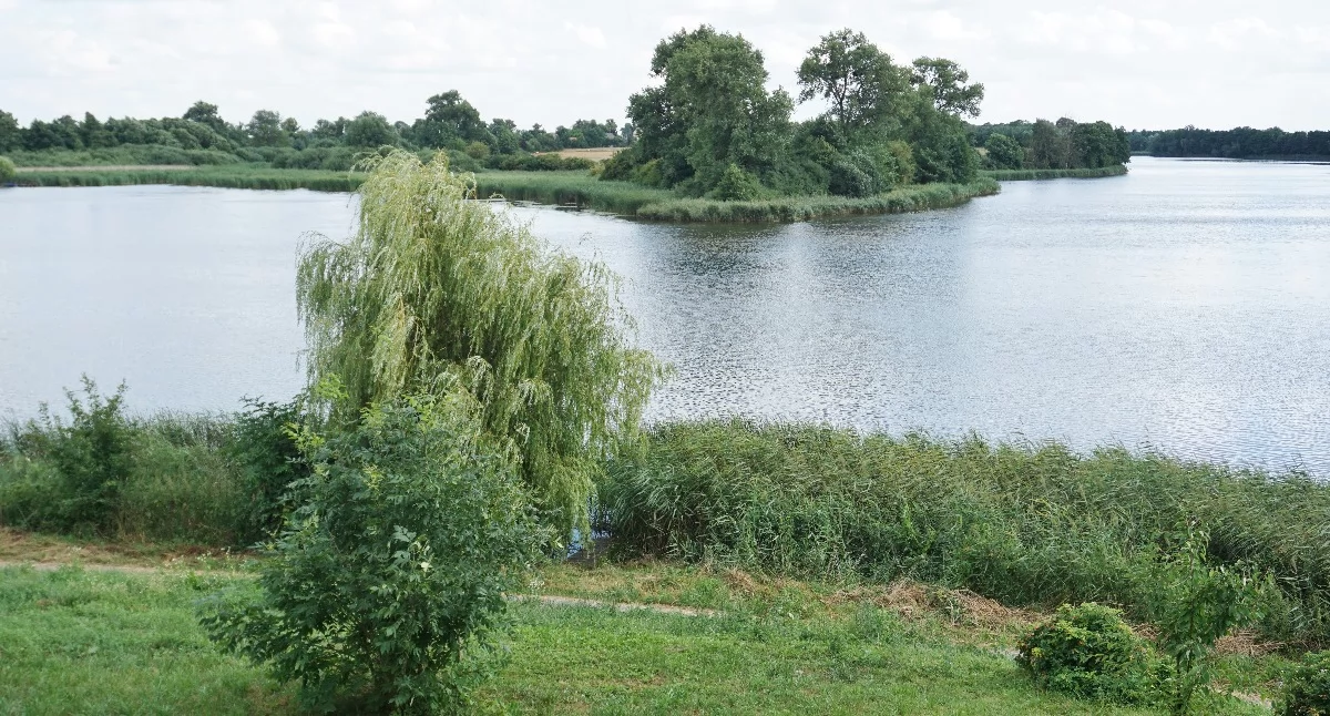 Przez to przewężenie Jeziora Mogileńskiego prowadził około 1000 lat temu drewniany most na wzgórze klasztorne   fot. Marek Holak