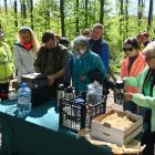 zdjęcie nr 39