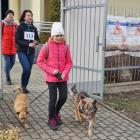 zdjęcie nr 45