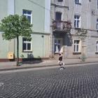 zdjęcie nr 35