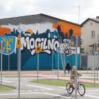 Fotka nr 4 z 17