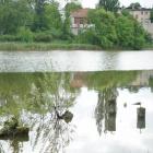 Fotka nr 5 z 7