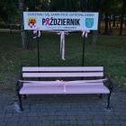 Fotka nr 2 z 3