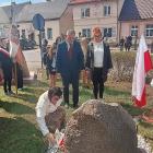 zdjęcie nr 24
