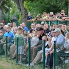 zdjęcie nr 12
