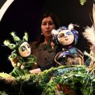 zdjęcie nr 16