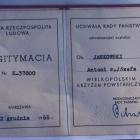 zdjęcie nr 25
