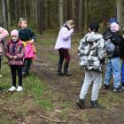 zdjęcie nr 33