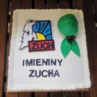 zdjęcie nr 17