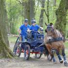 zdjęcie nr 14