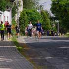 zdjęcie nr 220