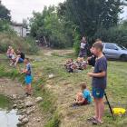 zdjęcie nr 33