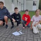 zdjęcie nr 9