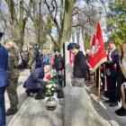 zdjęcie nr 121