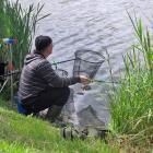 zdjęcie nr 27