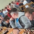 zdjęcie nr 80