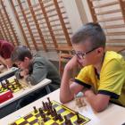 zdjęcie nr 137