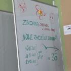 zdjęcie nr 11