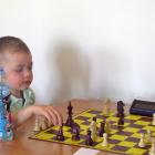 zdjęcie nr 15