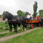 zdjęcie nr 116